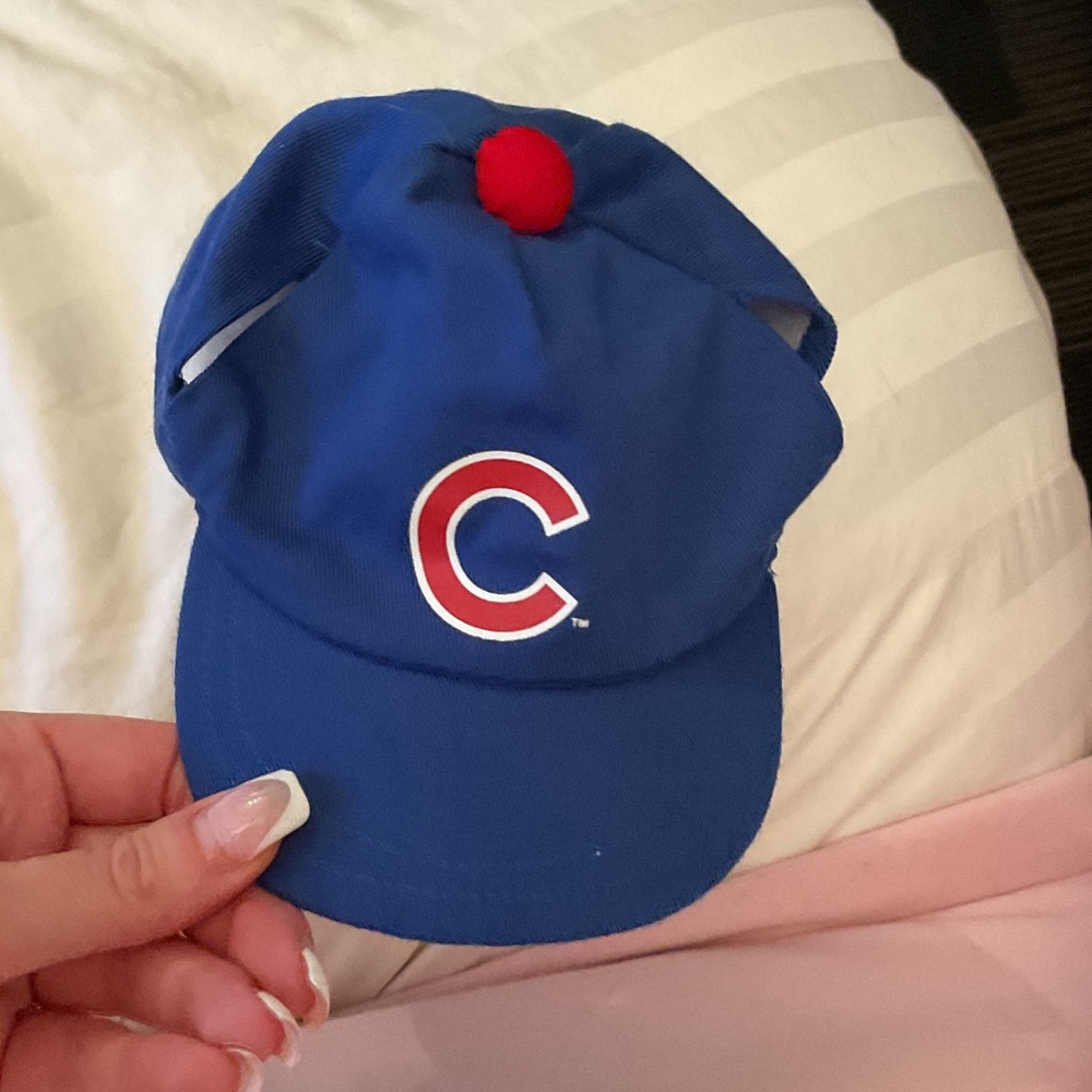 Blue Cap cubs with Red Logo